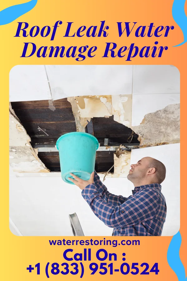 Roof Leak Water Damage Repair in Mount Olive, AR