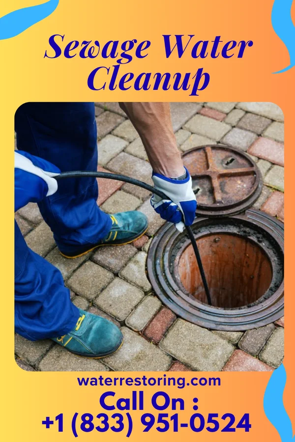 Sewage Water Cleanup in Mount Olive, AR